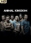 Animal Kingdom Temporada 3 [720p]